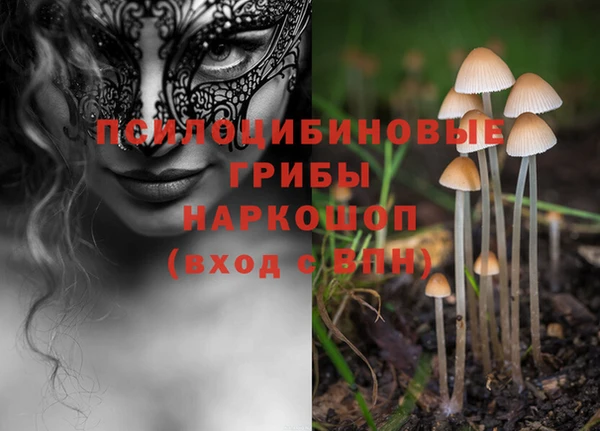 дживик Алзамай