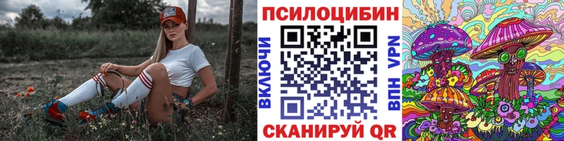 цена   Миасс  даркнет Telegram  Галлюциногенные грибы Cubensis 