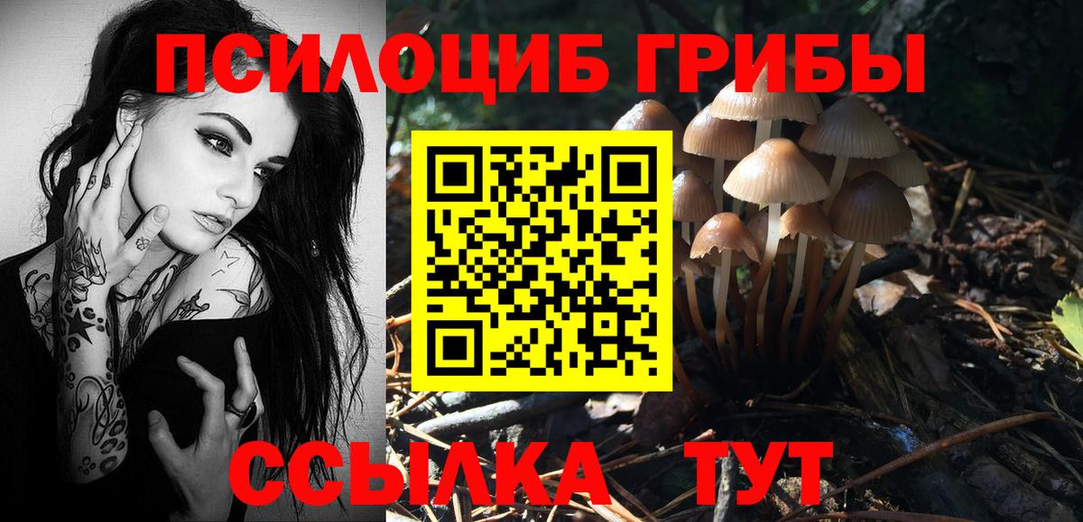 что такое наркотик  Вход с VPN  Миасс  Псилоцибиновые грибы Psilocybe  Псилоцибиновые грибы прущие грибы 
