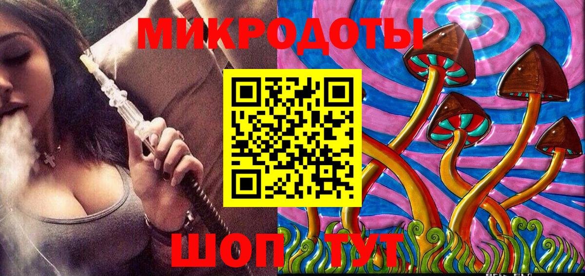Галлюциногенные грибы Psilocybine cubensis Миасс